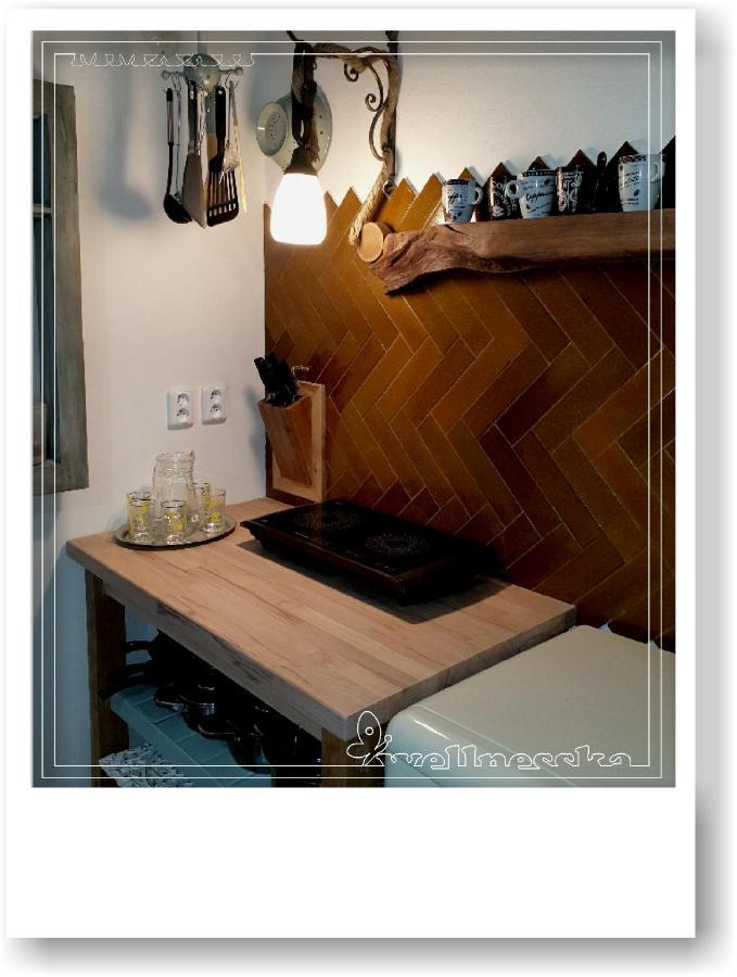 Wellnesska Vyhneヴィラ エクステリア 写真